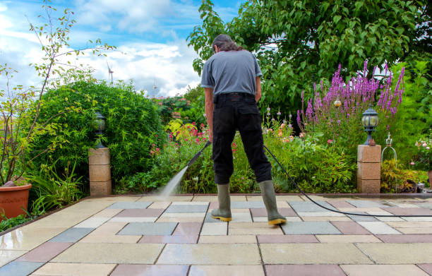 Best Sidewalk and Walkway Cleaning  in USA